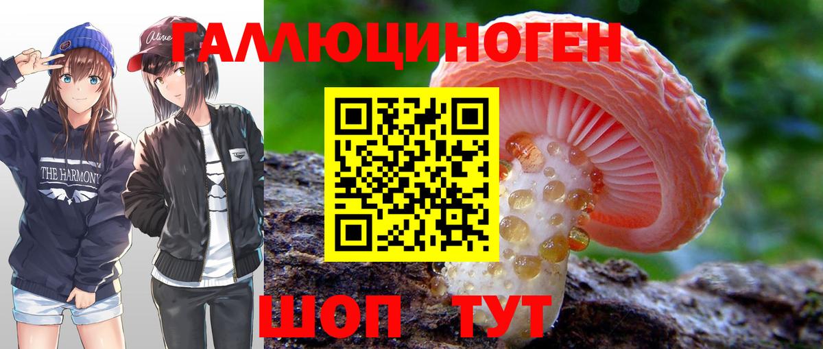 Галлюциногенные грибы прущие грибы  Псилоцибиновые грибы мицелий  Вход с VPN  Красногорск 